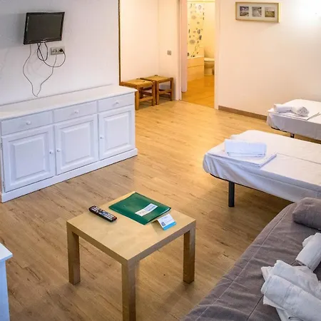 Apartment Estudis Turistics Cims Pas 3000 *